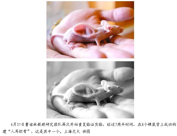 审计署:上海交大教授人耳鼠经费使用无问题